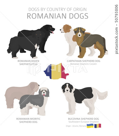 what dog breeds are sold in romania