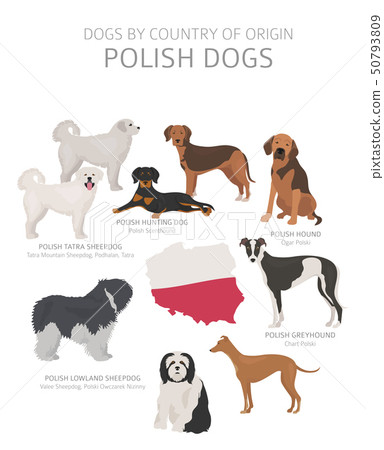 what country are dogs native to