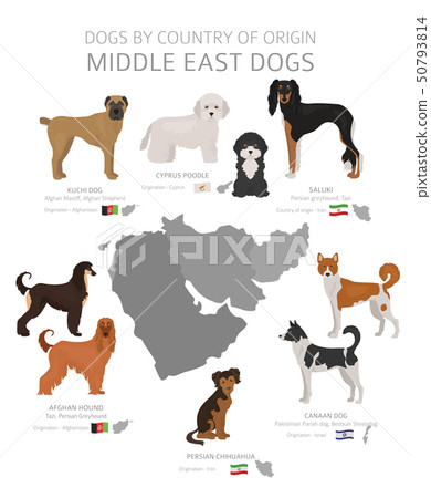 DOG Breeds Collection - Design Cuts