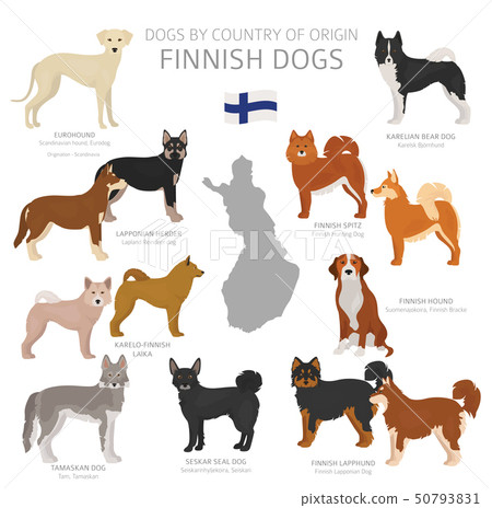 are finnish hounds good for apartment units