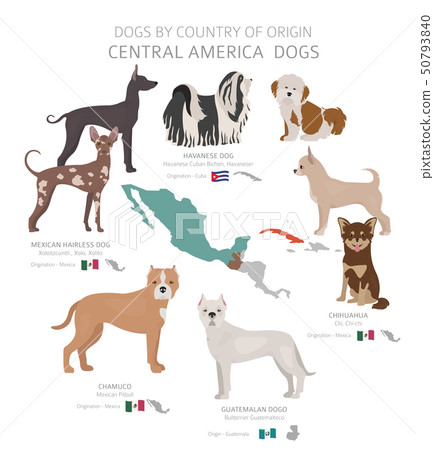 what country are dogs native to