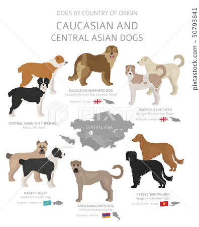 Dogs by country of origin. Caucasian and central Dogs by country of origin. Caucasian and central 50793841