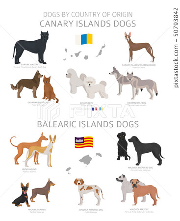 Dogs by country of origin. Canary and Balearic Dogs by country of origin. Canary and Balearic 50793842