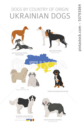 Dogs by country of origin. Ukrainian dog breeds. Dogs by country of origin. Ukrainian dog breeds. 50793864