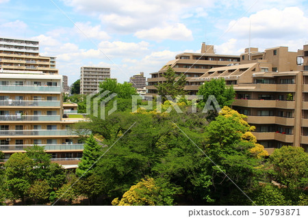 Setagaya residential area Setagaya residential area 50793871