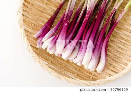 Rachyou (Red Yue) 50796169