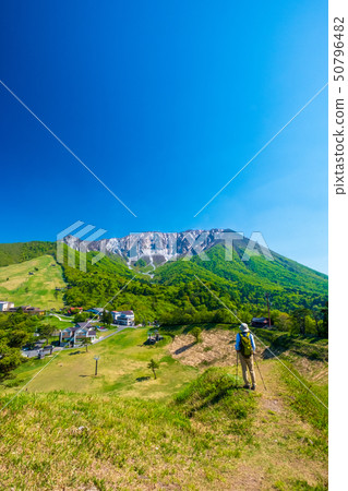 大山初夏徒步旅行 大山初夏徒步旅行 50796482