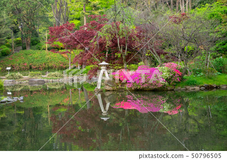 Arisugawanomiya Memorial Park in Minato-ku, Tokyo 50796505