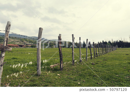 Wooden fence with barbed wire with sheep wool  50797120