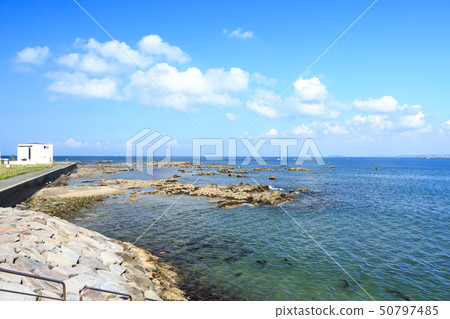 Nagai (early summer) Nagai (early summer) 50797485