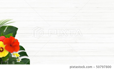 Background-Sea-Summer-Beach-Wood Deck-Monstera-Plumeria-Hibiscus 50797800