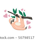 Cute hand drawn sloth hanging on the tree branch. Cartoon flat style. Vector illustration 50798517