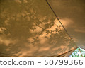Shadow  50799366