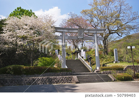 那須溫泉神社鳥居（春天） 50799403