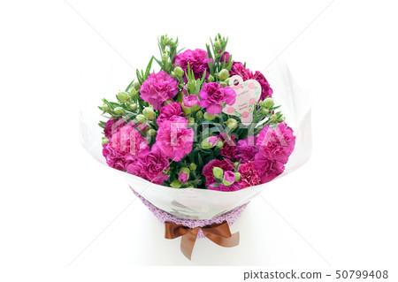 Carnation, mother's day, flower gift, bouquet Carnation, mother's day, flower gift, bouquet 50799408