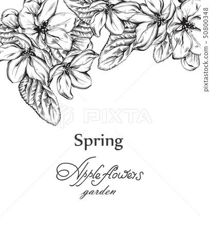 Vintage card with flowers Vector lineart. Vintage card with flowers Vector lineart. 50800348