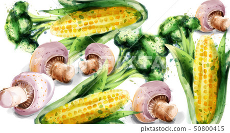 Vegetables watercolor Vector background. Vegetables watercolor Vector background. 50800415