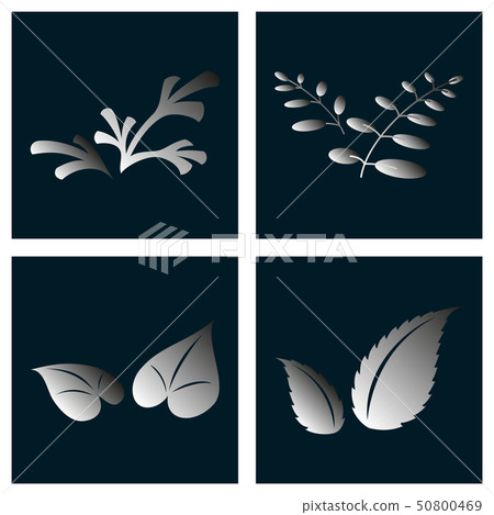 Leaves icon vector set isolated on background. Various shapes of leaves of trees and plants 50800469