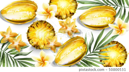 Carambola star fruit and pineapple slices Vector Carambola star fruit and pineapple slices Vector 50800531