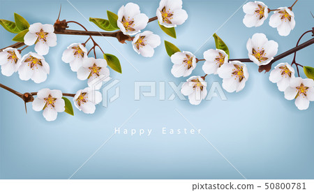 Cherry flowers border Vector realistic branches. Cherry flowers border Vector realistic branches. 50800781