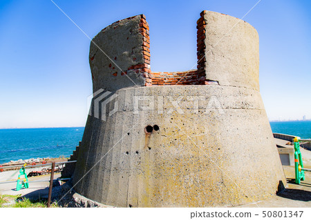 第二海鰻海藻Torchka 第二海鰻海藻Torchka 50801347