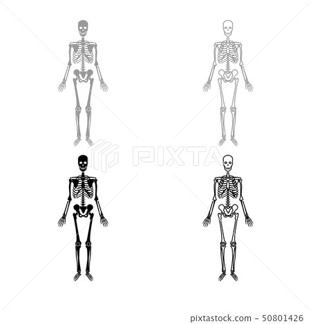 Human skeleton icon outline set grey black color Human skeleton icon outline set grey black color 50801426