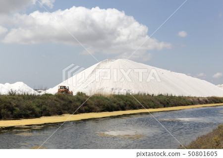 Salt marshes in Aigues Mortes, France  50801605
