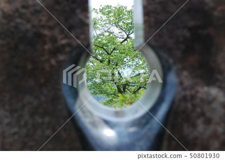 在通往Senkoji的道路上的一個窺視孔 在通往Senkoji的道路上的一個窺視孔 50801930