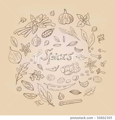 Set of different spices elements in circle shape on craft background.  50802305