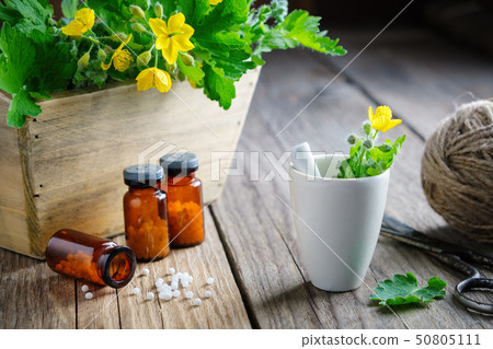 Bottles of homeopathic globules, Chelidonium plant 50805111