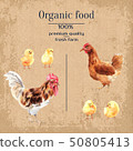 Rooster, Chicken and chicks on the vintage background. Poster farm animals watercolor. 50805413