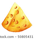 Cheese closeup. Organic eat. Yellow watercolor illustration. 50805431