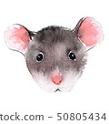 Wild rat. Mouse Chinese new year. Watercolor illustration. 50805434