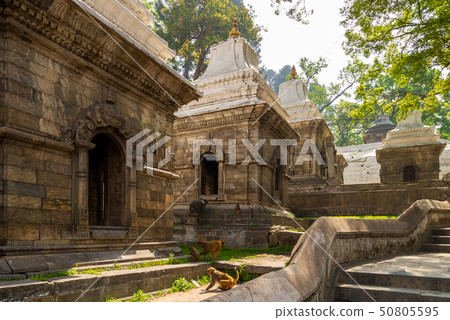 The Pandra Shivalaya located on Bagmati river 50805595