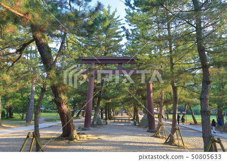 [島根]出雲大社 50805633