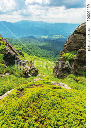 summer nature scenery in mountains summer nature scenery in mountains 50806469