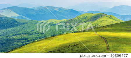mountain panorama on cloudy summer noon mountain panorama on cloudy summer noon 50806477