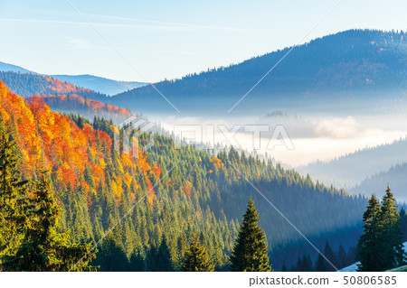 wonderful autumn sunrise in mountains 50806585