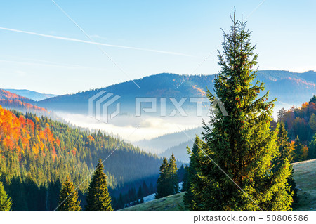 wonderful autumn sunrise in mountains wonderful autumn sunrise in mountains 50806586