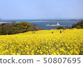 Nokoshima 50807695