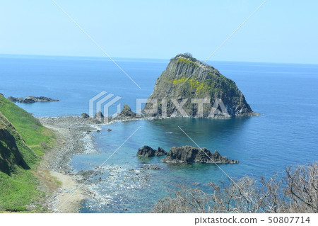 柏木西海岸 50807714