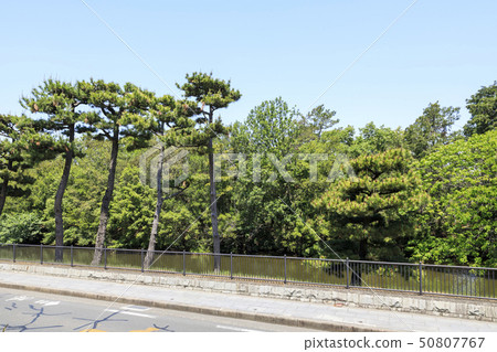 Osaka, Nintoku emperor's tomb (Dasen Ling old tomb), world heritage 50807767