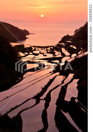 Sunset of the rice terrace of Hamanoura 50808922