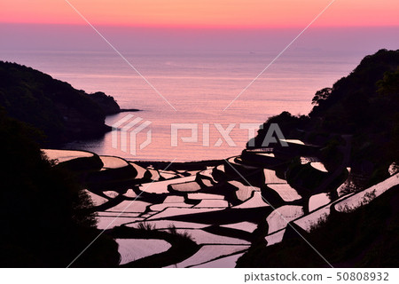 Sunset of the rice terrace of Hamanoura 50808932