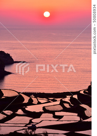 Sunset of the rice terrace of Hamanoura Sunset of the rice terrace of Hamanoura 50808934