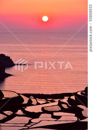 Sunset of the rice terrace of Hamanoura 50808935