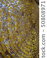 Group of silk worm cocoons nests color yellow 50808971