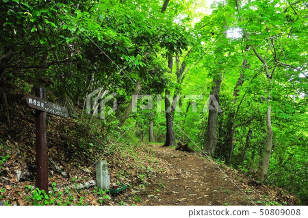波多野市工房山公園遠足路線野佛路 波多野市工房山公園遠足路線野佛路 50809008