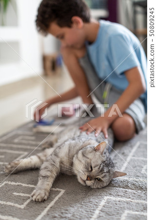 Cute little child with cat at home Cute little child with cat at home 50809245