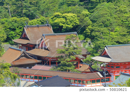 [島根縣]陽光明媚的日光神社的全景 50810621